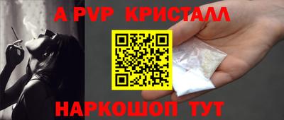 a pvp Кингисепп