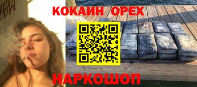 a pvp Кингисепп