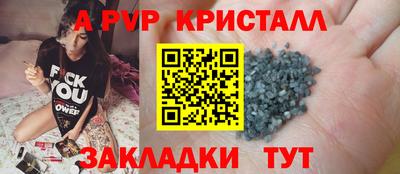 a pvp Кингисепп