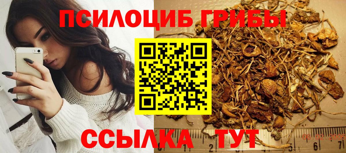Псилоцибиновые грибы Psilocybine cubensis  Вход с VPN  Красноармейск 